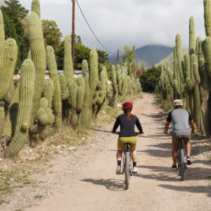 bicicleteada yacochuya