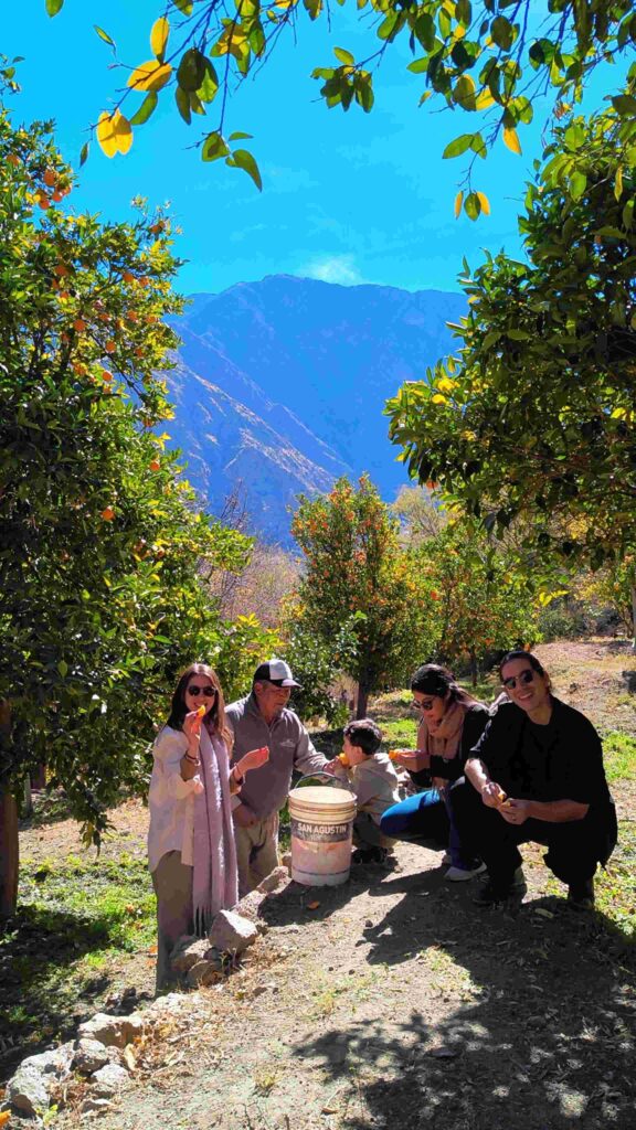 Rural Wine Exp 2