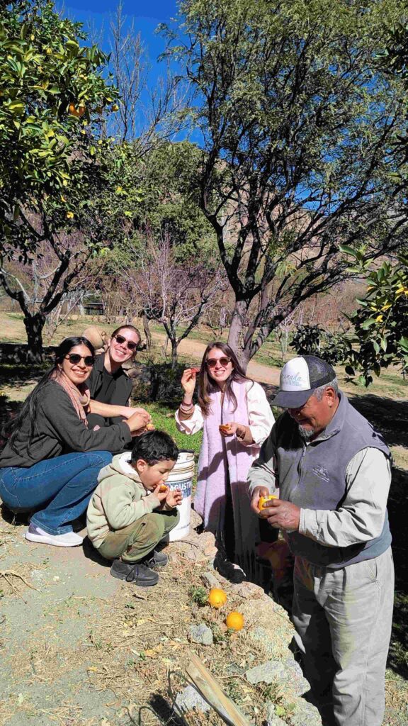 Rural Wine Exp 5