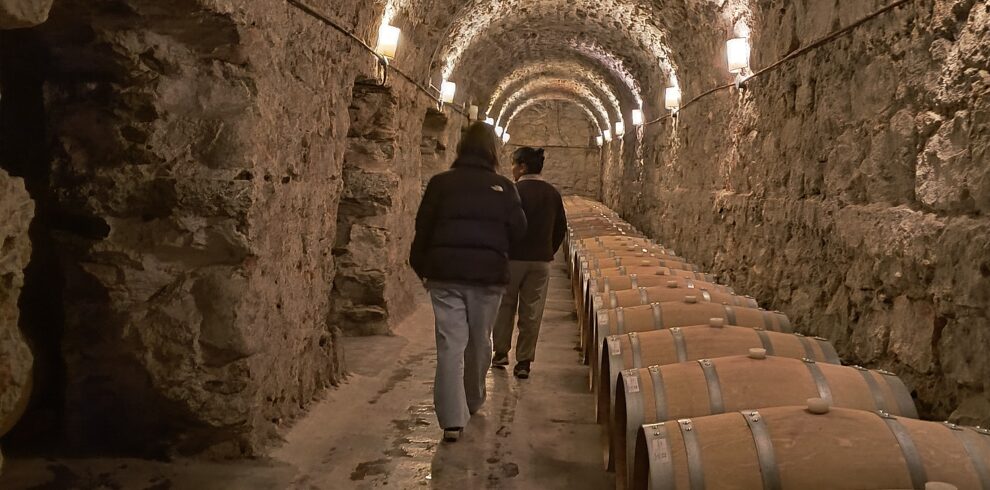 caminos del vino