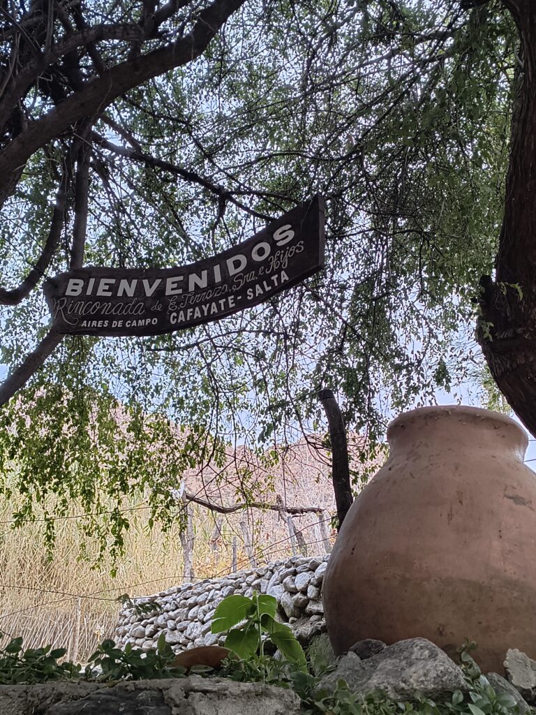 vino y naturaleza2
