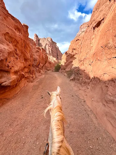 Cabalgata los Colorados