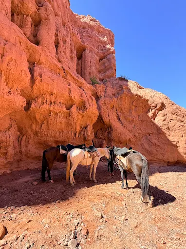 Cabalgata los Colorados