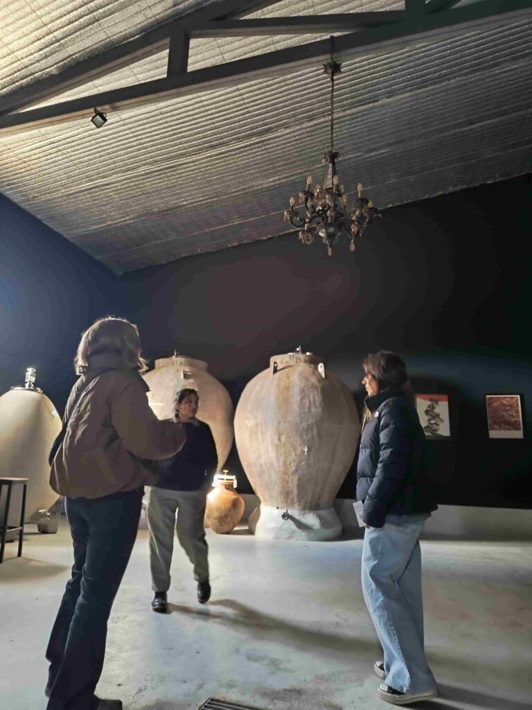Caminos del Vino 3