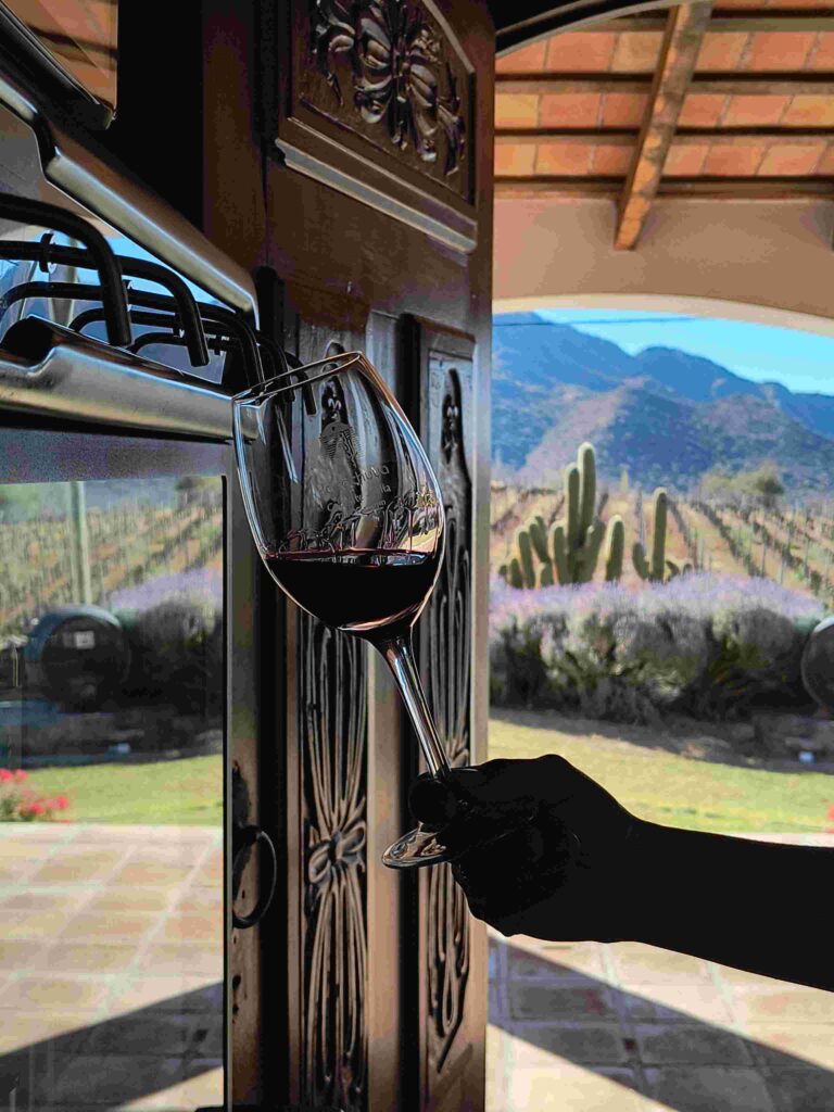 Caminos del Vino 4