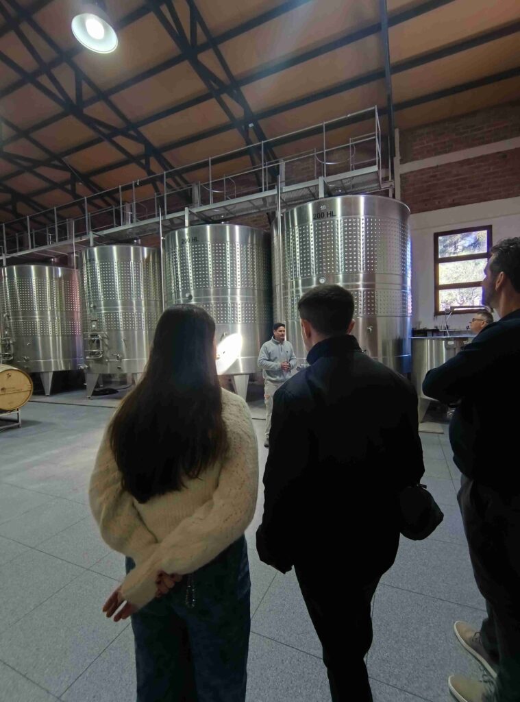 Caminos del Vino